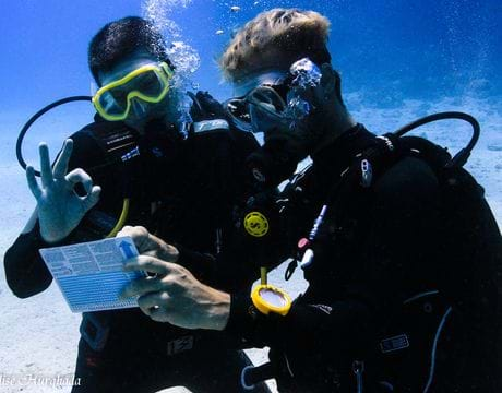 PADI OPEN WATER REFERRAL